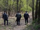 Blitz dei carabinieri a Mondonico, in manette un piccolo boss dello spaccio nei boschi della Valganna