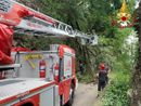 FOTO. Luino, albero piomba sulla strada. Vigili del fuoco in azione