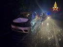 Maltempo: pianta cade su un'auto in transito sulla statale 394, paura per i tre occupanti