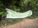 FOTO. Gli attivisti del comitato &quot;Salviamo gli alberi di Gallarate&quot; bloccano i lavori del polo scolastico
