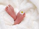 Record di nati ieri al Del Ponte: 18 bambini vedono la luce in 24 ore