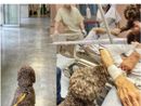 foto dalla pagina Facebook dell'Asst Nord Milano