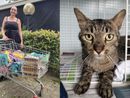 Elisa ha donato le pappe con Paola. A lato Oscar, un micio del gattile di Legnano