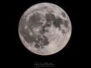 La luna piena immortalata ieri sera da Gianluca Bertoni