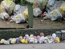 VIDEO. Rifiuti, i topi ballano in via Lamarmora