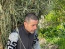 Giuseppe Reggiori al lavoro mentre trasporta fieno nel suo gerlo record