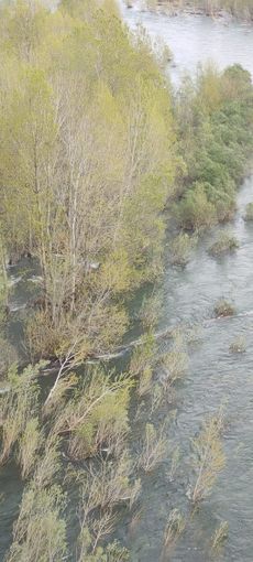 FOTO. Si ribaltano con la canoa nelle acque del Ticino: salvati dai vigili del fuoco