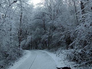 Parco Valle del Lanza: (foto Diego Boldini da La Varese Nascosta) Parco Valle del Lanza: (foto Diego Boldini da La Varese Nascosta)