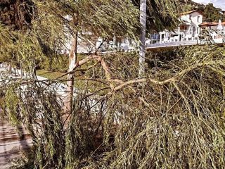Le immagini dei danni provocati dalla tempesta che si è abbattuta su Maccagno con Pino e Veddasca (foto dalla pagina Facebook del sindaco Vargiu) Le immagini dei danni provocati dalla tempesta che si è abbattuta su Maccagno con Pino e Veddasca (foto dalla pagina Facebook del sindaco Vargiu)