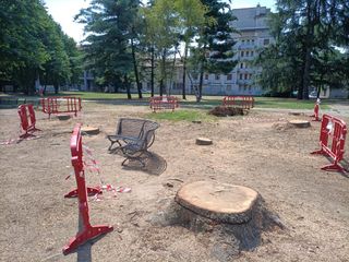 (foto di un cittadino)