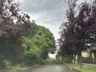via Bevilacqua