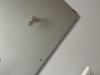 L'invasione di mosche dentro le case di Olgiate Olona