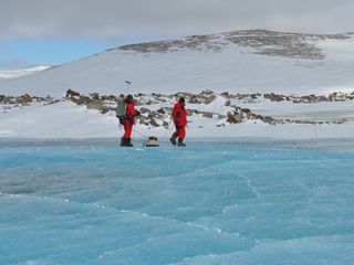 Il gruppo di ricerca sul campo