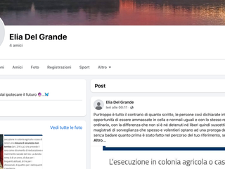 Ancora il profilo di Del Grande