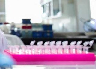 Staminali contro il Parkinson, in Giappone via libera al primo trattamento