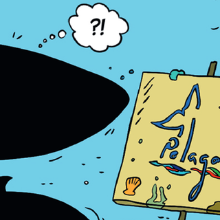 “Io sono Balenottera”: la balena parlante che racconta il Santuario Pelagos