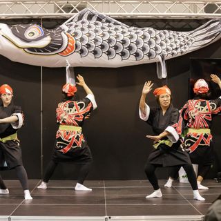 Japan Show e Italian Koi Expo 2024: alla Fiera Di Cremona un angolo di Giappone