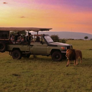 5 motivi per cui la tua prossima vacanza dovrà essere un Safari