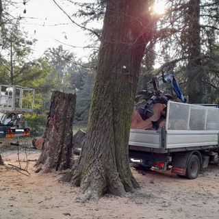 Gallarate: motoseghe al parco Bassetti