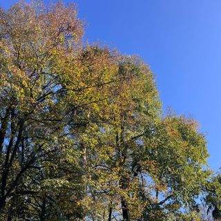 METEO. Dopo le &quot;ottobrate&quot; è tempo di &quot;novembrate&quot;: prosegue l'autunno caldo sul Varesotto