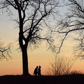 Guidando il cammino, anche sui sentieri della vita