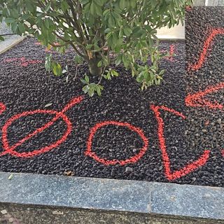 Busto, scritte in arabo sulla fioriera appena sistemata.  L'assessore Sabba: «Questi fatti hanno stancato, troveremo una soluzione»