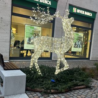 LA FOTO. «Non calpestate l'aiuola. E neanche la renna» LA FOTO. «Non calpestate l'aiuola. E neanche la renna»