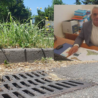 Busto, è partita la derattizzazione. Coinvolti 20mila tombini Busto, è partita la derattizzazione. Coinvolti 20mila tombini