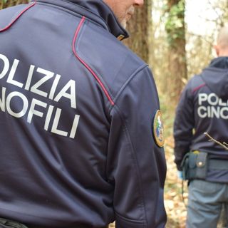 Operazione contro lo spaccio: sequestrati hashish e cocaina e smantellato bivacco nel Parco Pineta