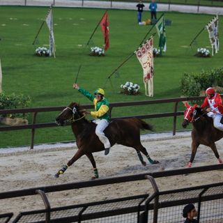 Foto Fabrizio Riboni