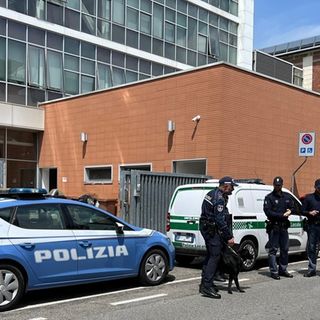 Controlli nelle scuole di Gallarate: scovato hashish grazie al fiuto di Zorro