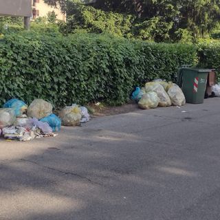 Via Lamarmora e la guerra dei rifiuti: «Qui ci vogliono le telecamere»