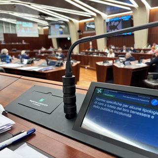 «Norme per cani potenzialmente pericolosi, non è una legge contro gli animali ma contro chi li maltratta»: Licata (FI) soddisfatto per l’approvazione in Consiglio Regionale