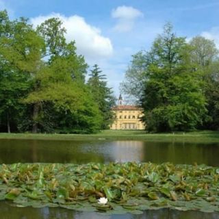 Robin Wood al Kamishibai: quando l’inglese, il teatro e l’ambiente fanno spettacolo (e risate)