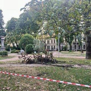 Ramo caduto nel parco di via Foscolo,  ordine di rimuovere la pianta malata