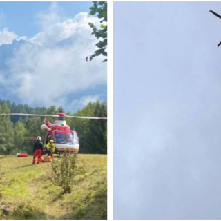 Le operazioni di salvataggio dell'animale da parte dei vigili del fuoco