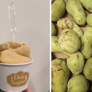 Nel cono un alleato per la ripresa: l’asimina triloba aiuta a rimettersi in moto