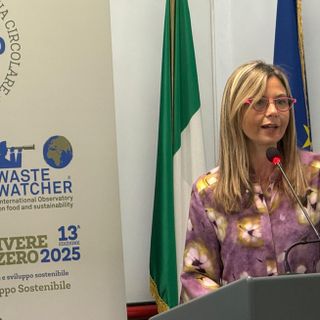 Gadda: «Donare le eccedenze alimentari è possibile. Ora la sfida è logistica: serve un modello organizzativo sostenibile» Gadda: «Donare le eccedenze alimentari è possibile. Ora la sfida è logistica: serve un modello organizzativo sostenibile»