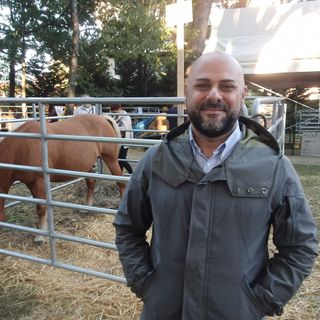 Successo per Agrivarese, Sabba: «Tantissima gente. Ztl pedonale? Inevitabile»