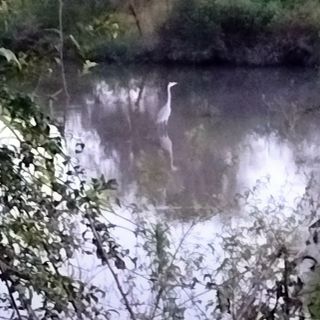 Meravigliosi incontri. Dalla pagina Facebook del Gruppo di cammino fagnanese