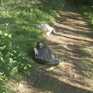 Agenda del verde pulito: doppio appuntamento e doppia pulizia in arrivo