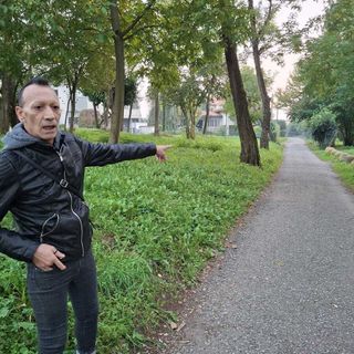 Vincenzo Zingarelli alle montagnette, il punto, allora incolto, in cui racconta di essersi nascosto dal suo aguzzino