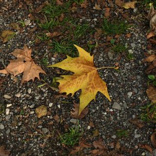 «Il weekend inizia con le nuvole e finisce con la pioggia»