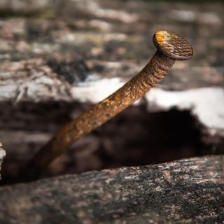 “sgrabelossi” - “graffiarsi”