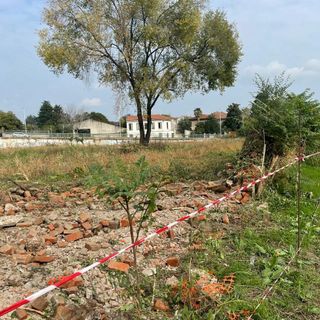 Busto: in via del Roccolo si camminerà nel verde, al parco De Curtis si alleneranno fisico e mente