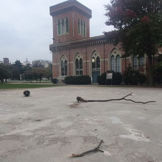 Museo del Tessile, pianta e cestino gettati in mezzo alla pista per lo skate