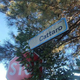 Perdita d’acqua nelle case Aler di Borsano, tecnici al lavoro