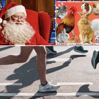 Primi, timidi assaggi di Natale. Ma vincono soprattutto sport e cultura