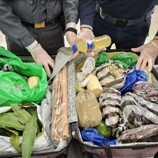 Sequestrate 6,5 tonnellate di alimenti non sicuri, tra cui carne, frutta e latticini, all'aeroporto di Linate