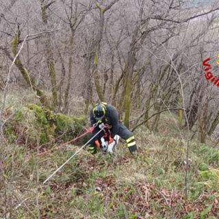 Il salvataggio del cane a Brusimpiano